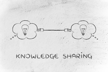 中医对胆的论述